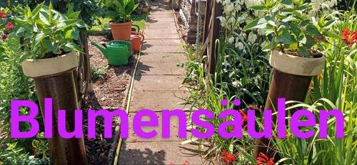 Foto - pachtgarten in Fraureuth - 999,00&nbsp;EUR Kaltmiete, ca.&nbsp; 0,00&nbsp;m&sup2;