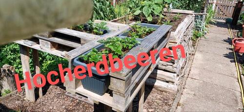 Foto - Grundst&uuml;ck in Oelsnitz (Vogtland)