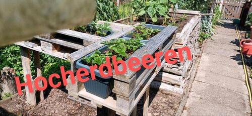 Foto - Grundst&uuml;ck in Oelsnitz (Vogtland) zur Miete