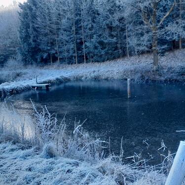 Foto - Grundst&uuml;ck zur Miete in Zell