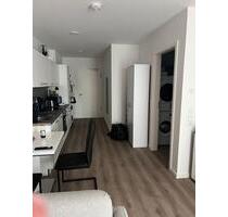 Hochwertige Neubauwohnung in Poppenlauer zu vermieten 1 Zimmer - Maßbach