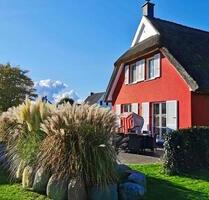 Im März noch frei - 5 Sterne Ferienhaus Insel Rügen - Gingst