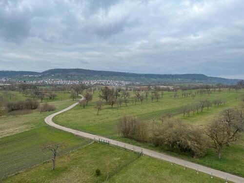 Foto - 3 Zimmer Hochparterre in Tübingen