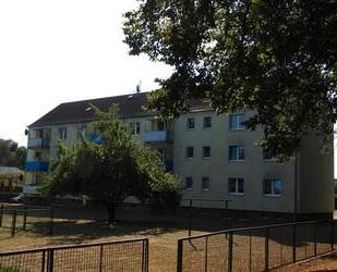 renovierte 3-Raum-Wohnungen in Stretense zu vermieten - Anklam