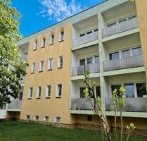 Studenten Wohnung am Stadtrand - renoviert und sonnig gelegen! - Wittenberg Lutherstadt
