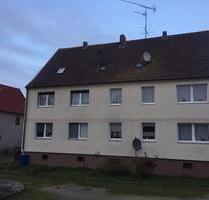 Helle, renovierte große 1-Zi.Whg in Hakeborn - Wolfsburg Alt-Wolfsburg