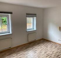 1-Zimmer-Wohnung – ideal für Berufspendler & Wochenendheimfahrer - Güglingen