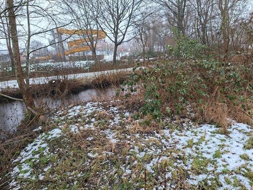 Foto - Grundst&uuml;ck in Bad Bramstedt