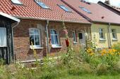 Foto - 11 Zimmer Mehrfamilienhaus, Wohnhaus zum Kaufen in Steinhöfel