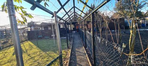 Foto - Schrebergarten 420 Quadratmeter