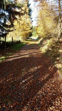 Foto - Ferienwohnung im Sauerland kurzfristig frei