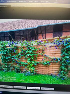 Foto - Einfamilienhaus in Göttingen zur Miete