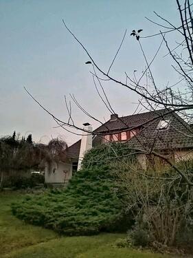 Foto - 8 Zimmer Villa zur Miete in Bad Bevensen