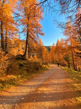 Foto - Goldener Herbst in Heiligenblut am Großglockner