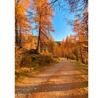 Goldener Herbst in Heiligenblut am Großglockner - Münster