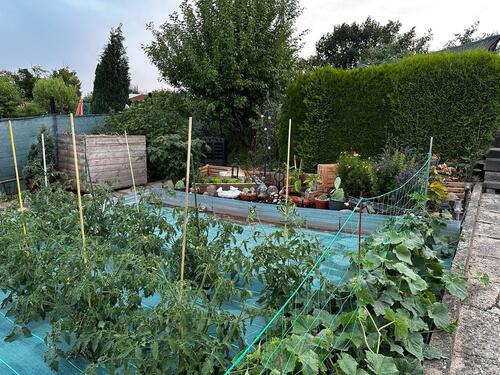 Foto - Grundst&uuml;ck in Freital