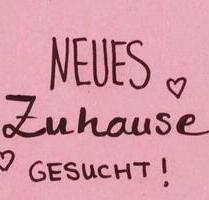 Wohnung zum Mieten - 500,00 EUR Kaltmiete, in Schwerin (PLZ: 19061) Gartenstadt