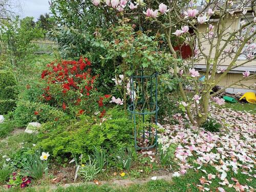 Foto - Grundst&uuml;ck in Chemnitz