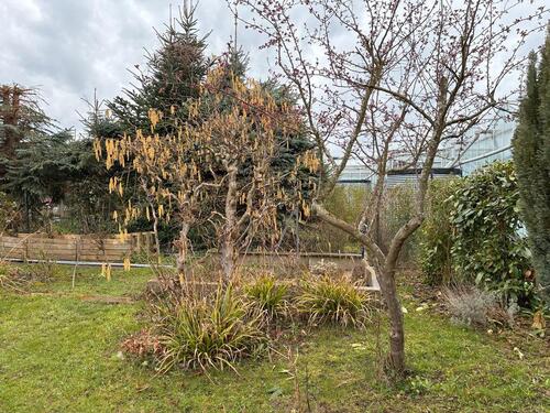 Foto - Grundst&uuml;ck in Korschenbroich zur Miete