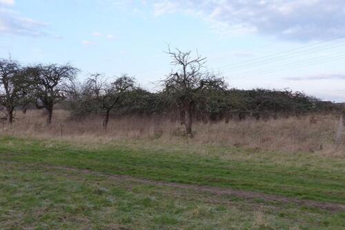 Foto - Grundst&uuml;ck in Wolmirstedt zur Miete