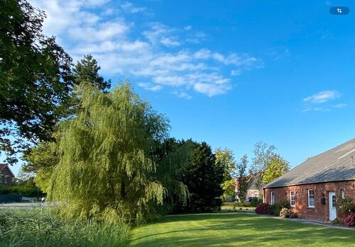 Foto - Charmante ebenerdige 3-Zimmer-Wohnung in Bunde OT Bunderhammrich