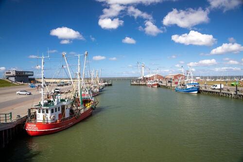 Foto - Ferienwohnung in Dornum 