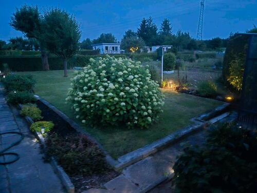 Foto - Grundst&uuml;ck in Dessau-Roßlau zur Miete