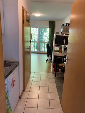 Foto - 1 Zimmer Erdgeschoßwohnung zur Miete in Osnabrück
