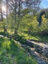 Foto - 5 Zimmer Bungalow in Chemnitz