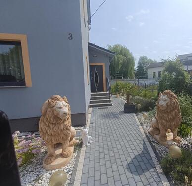 Foto - Einfamilienhaus in St. Egidien zum Kaufen