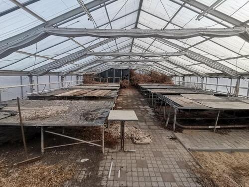 Foto - andere zur Miete in Dresden