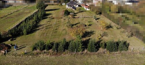 Foto - Einfamilienhaus in Groß Kreutz (Havel) zum Kaufen