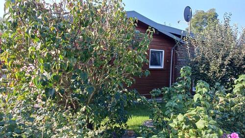 Foto - 1 Zimmer Bungalow in Ueckermünde