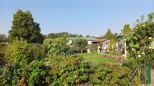 Foto - Bungalow in Ueckermünde zum Kaufen