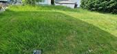 Foto - 6 Zimmer Einfamilienhaus zum Kaufen in Chamerau