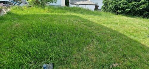 Foto - 6 Zimmer Einfamilienhaus zum Kaufen in Chamerau
