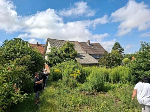 Foto - Einfamilienhaus in Osterwieck zum Kaufen