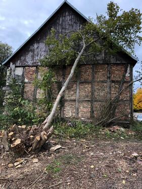 Foto - Einfamilienhaus in Oderberg zum Kaufen