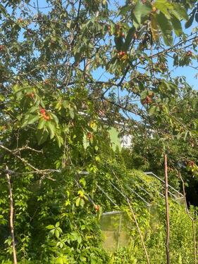 Foto - 74 Zimmer Einfamilienhaus zum Kaufen in Puchheim