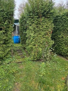 Foto - Grundstück in Sontra