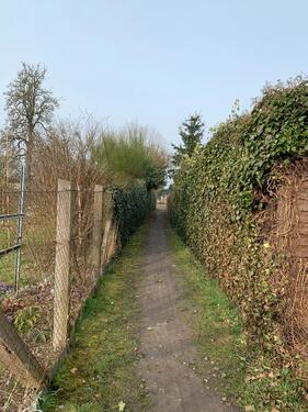 Foto - Grundst&uuml;ck zur Miete in Bismark (Altmark)