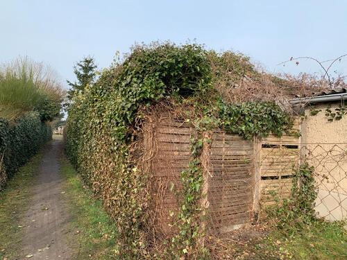 Foto - Grundst&uuml;ck in Bismark (Altmark)