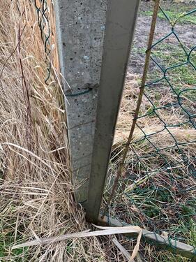 Foto - Grundst&uuml;ck in Bismark (Altmark) zur Miete