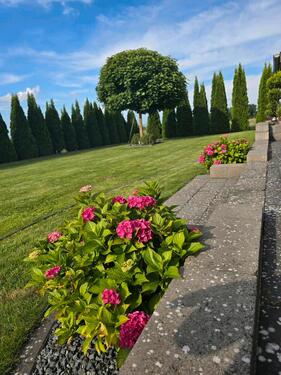 Foto - 5 Zimmer Einfamilienhaus in Hillerse