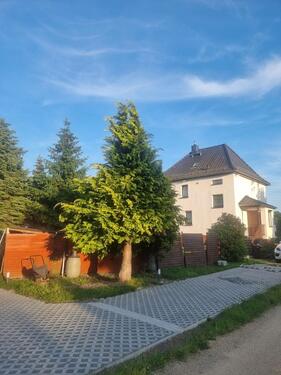 Foto - 4 Zimmer Einfamilienhaus zum Kaufen in Chemnitz