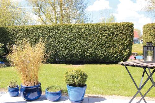 Foto - andere in Großefehn