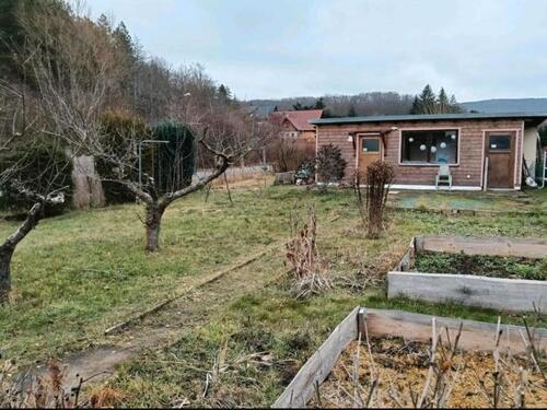 Foto - Grundst&uuml;ck zur Miete in Thale
