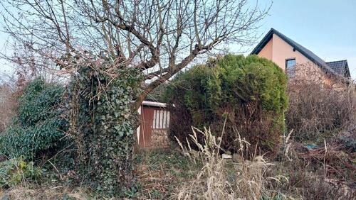 Foto - Kleingarten mit Obstbäumen & Laube wartet auf neuen Gärtner