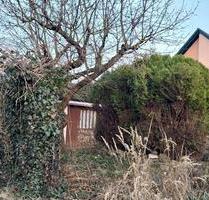 Kleingarten mit Obstbäumen & Laube wartet auf neuen Gärtner - Merseburg