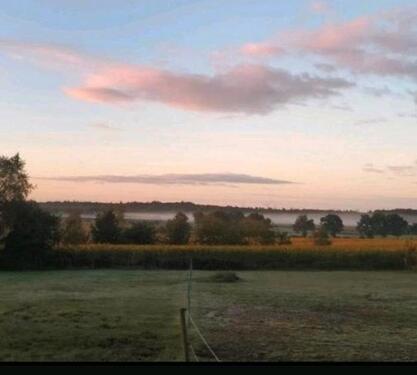 Foto - 6 Zimmer Bauernhaus, Landhaus zum Kaufen in Wester-Ohrstedt